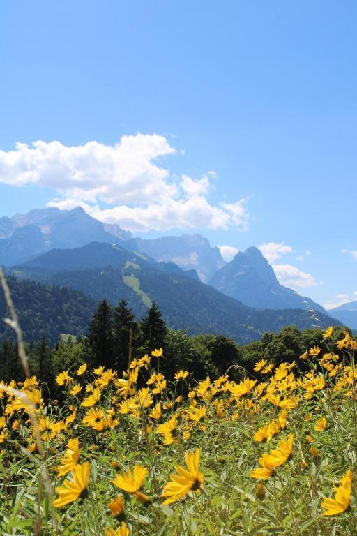 Pfeiffer Alm Am Sonnenhang Mit Blick Auf Die Zugspitze Гармиш-Партенкирхен Экстерьер фото